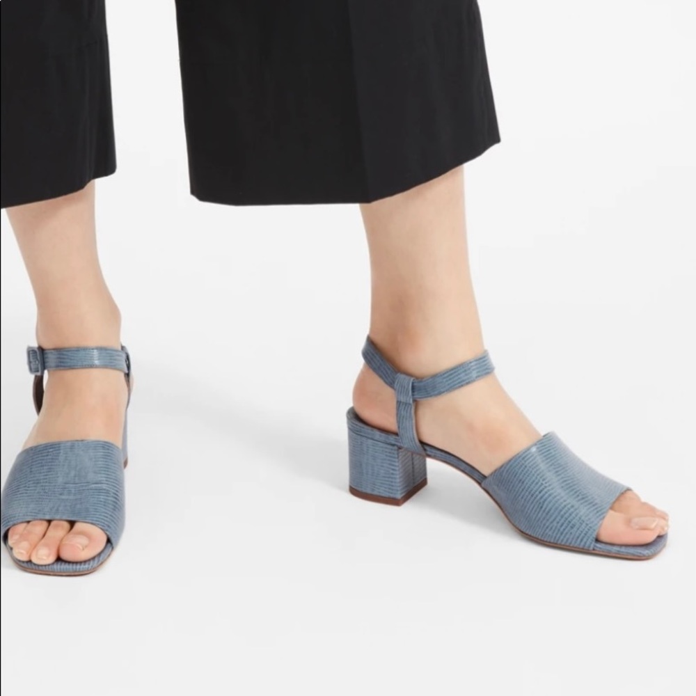 Everlane Block Heel Sandal Blue crocodile